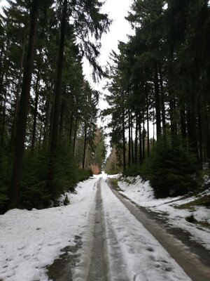 Foto des Albums: Rundwanderung bei Nemmersdorf um den Sauberg auf die Himmelsleiter