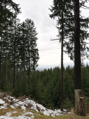 Foto des Albums: Rundwanderung bei Nemmersdorf um den Sauberg auf die Himmelsleiter