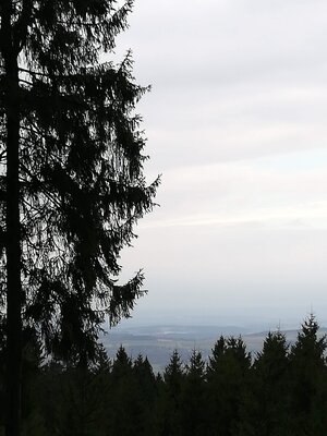 Foto des Albums: Rundwanderung bei Nemmersdorf um den Sauberg auf die Himmelsleiter