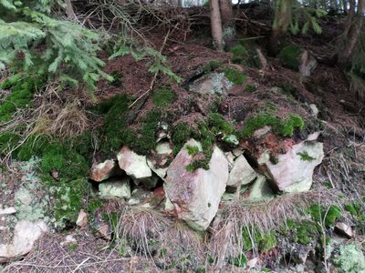 Foto des Albums: Rundwanderung bei Nemmersdorf um den Sauberg auf die Himmelsleiter