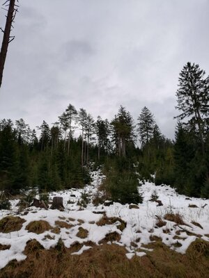 Foto des Albums: Rundwanderung bei Nemmersdorf um den Sauberg auf die Himmelsleiter