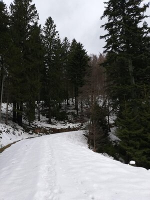 Foto des Albums: Rundwanderung bei Nemmersdorf um den Sauberg auf die Himmelsleiter