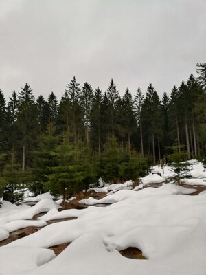 Foto des Albums: Rundwanderung bei Nemmersdorf um den Sauberg auf die Himmelsleiter