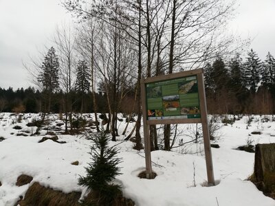 Foto des Albums: Rundwanderung bei Nemmersdorf um den Sauberg auf die Himmelsleiter