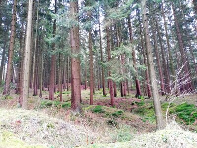 Foto des Albums: Rundwanderung bei Nemmersdorf um den Sauberg auf die Himmelsleiter