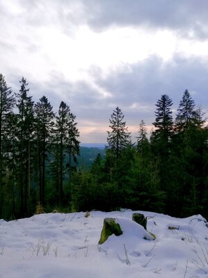 Foto des Albums: Rundwanderung bei Nemmersdorf um den Sauberg auf die Himmelsleiter