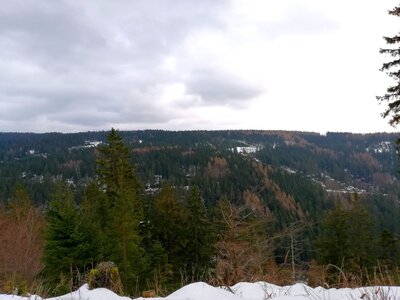 Foto des Albums: Rundwanderung bei Nemmersdorf um den Sauberg auf die Himmelsleiter