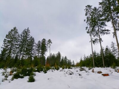 Foto des Albums: Rundwanderung bei Nemmersdorf um den Sauberg auf die Himmelsleiter
