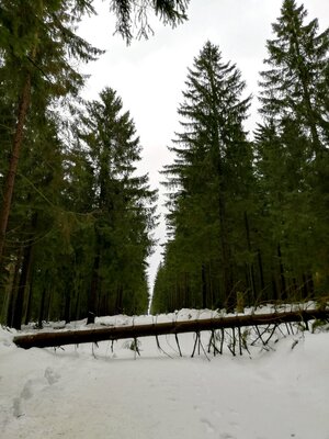 Foto des Albums: Rundwanderung bei Nemmersdorf um den Sauberg auf die Himmelsleiter