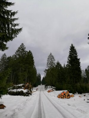 Foto des Albums: Rundwanderung bei Nemmersdorf um den Sauberg auf die Himmelsleiter