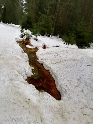 Foto des Albums: Rundwanderung bei Nemmersdorf um den Sauberg auf die Himmelsleiter