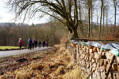 Wandern ist herrlich.  (Bild vergr&ouml;&szlig;ern)