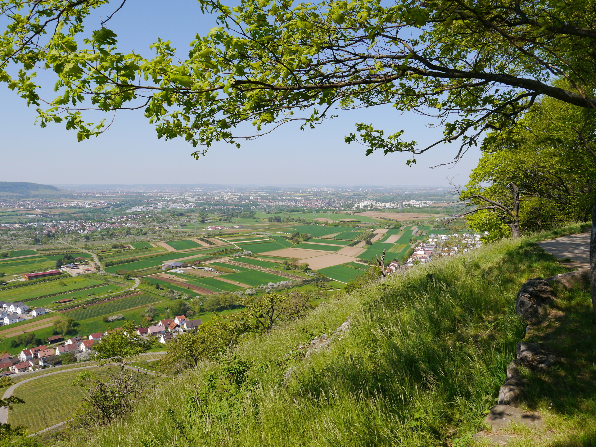 Bild: Aussicht vom Kleinheppacher Kopf
