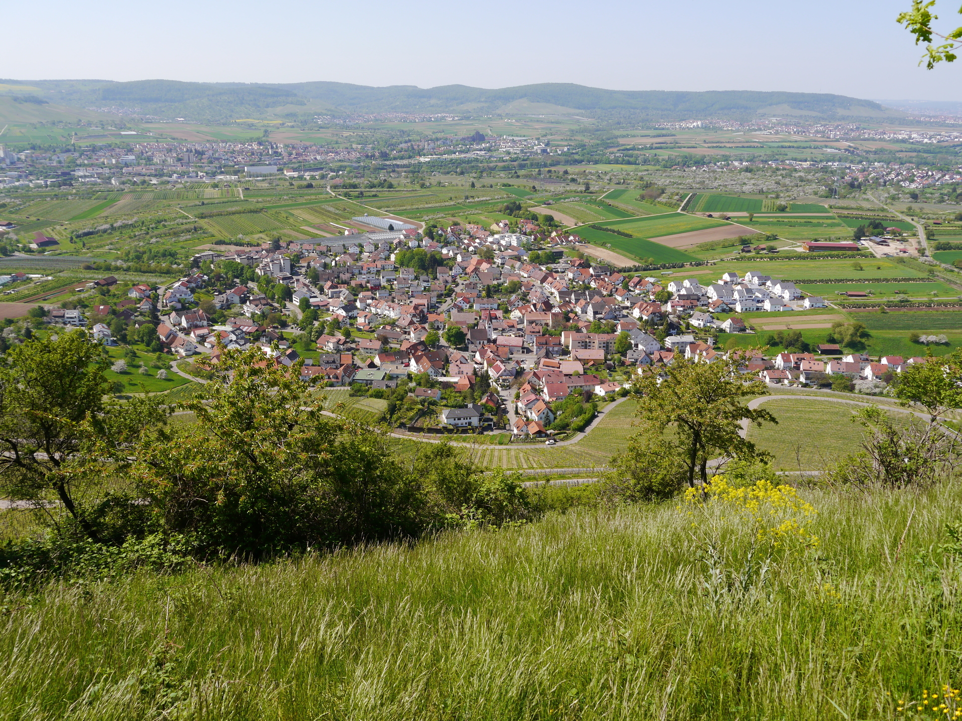 Bild: Blick auf Kleinheppach