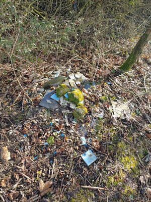 Foto des Albums: Bildergalerie Sammelplatz 6: Dörnigheim, Mainufer II