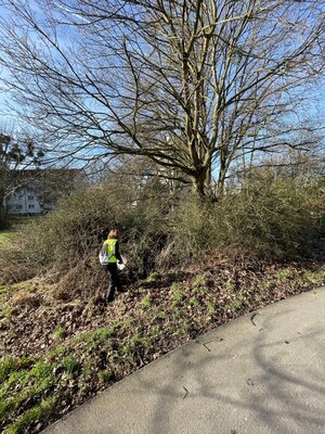 Foto des Albums: Bildergalerie Sammelplatz 8: Radweg Hochstadt - Bischofsheim