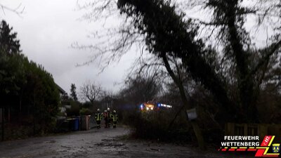 Baum droht umzust&uuml;rzen  (Bild vergr&ouml;&szlig;ern)