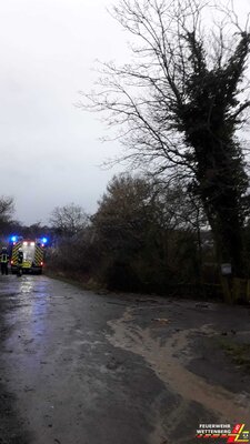 Baum droht zu fallen  (Bild vergr&ouml;&szlig;ern)