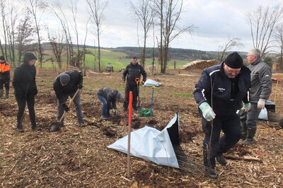 Foto des Albums: Bürgerwald - Pflanzaktion 19.02.2022 (19. 02. 2022)