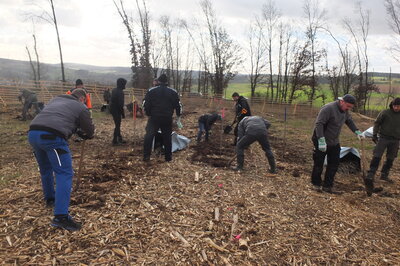 Foto des Albums: Bürgerwald - Pflanzaktion 19.02.2022 (19. 02. 2022)