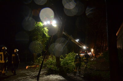 Foto des Albums: 2022-02-20-Einsatz_2