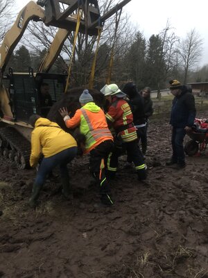 Foto des Albums: Einsatz 22.02.2022