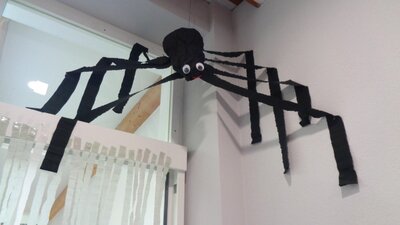 Die gro&szlig;e Hausspinne passt auf uns auf.  (Bild vergr&ouml;&szlig;ern)