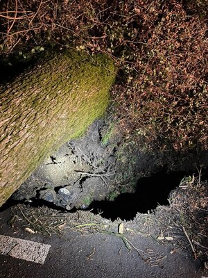 Foto des Albums: Sturmtief Zeynep u. Antonia