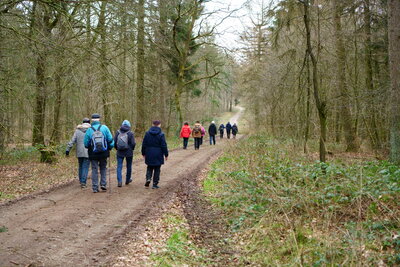 Auf dem Kammweg  (Bild vergr&ouml;&szlig;ern)