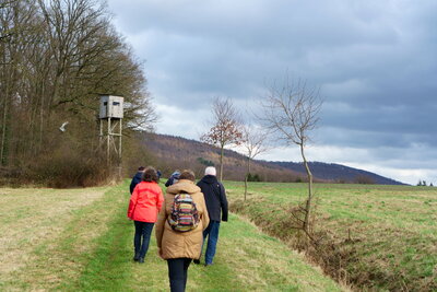 R&uuml;ckweg - auf zum Deister  (Bild vergr&ouml;&szlig;ern)