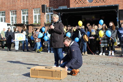 Foto des Albums: Sternenmarsch der Wittstocker Schulen (01.03.2022)