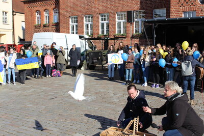 Foto des Albums: Sternenmarsch der Wittstocker Schulen (01.03.2022)