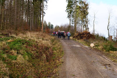 F&ouml;rsterweg  (Bild vergr&ouml;&szlig;ern)