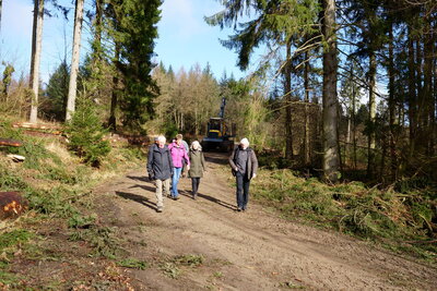 F&ouml;rsterweg  (Bild vergr&ouml;&szlig;ern)