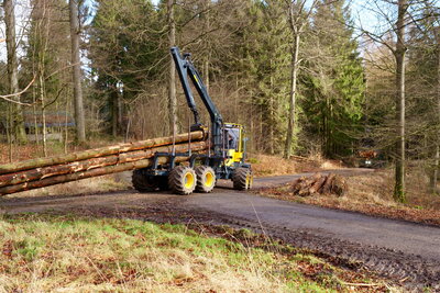 Vollzeitjob nach dem Sturm  (Bild vergr&ouml;&szlig;ern)