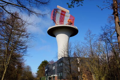 Fast am Ziel  (Bild vergr&ouml;&szlig;ern)