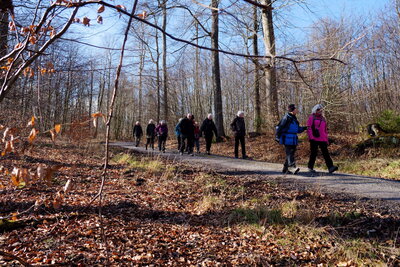 Auf dem Kammweg  (Bild vergr&ouml;&szlig;ern)