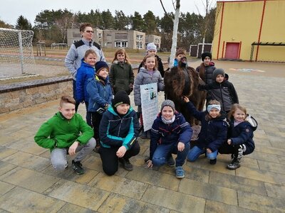 Foto des Albums: Eiskunst