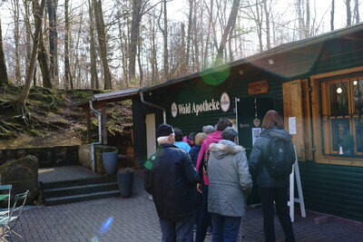 Am Ziel - Wald Apotheke  (Bild vergr&ouml;&szlig;ern)