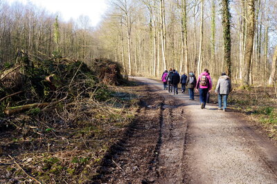 Deister bei Wennigsen  (Bild vergr&ouml;&szlig;ern)