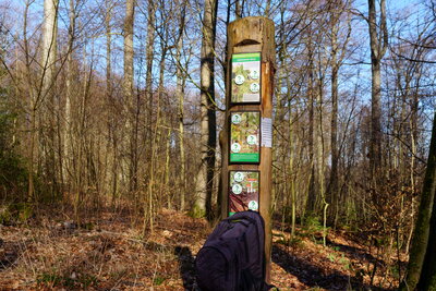 Walderlebnispfad Wennigsen  (Bild vergr&ouml;&szlig;ern)