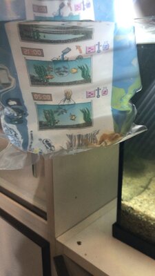 Foto des Albums: Aquarium