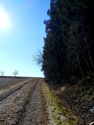 Foto des Albums: Rundwanderung Neusorg über die alte Eisenbahnbrücke oberhalb der Fichtelnaab
