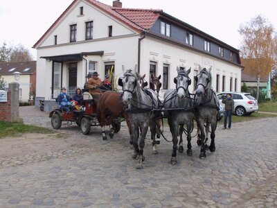 Foto des Albums: Reiterhof & Pension Norbert Kuhn