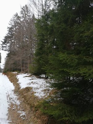 Foto des Albums: Rundwanderung bei Mehlmeisel Neugrün, Mähring, Hempelsberg