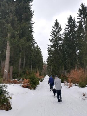Foto des Albums: Rundwanderung bei Mehlmeisel Neugrün, Mähring, Hempelsberg