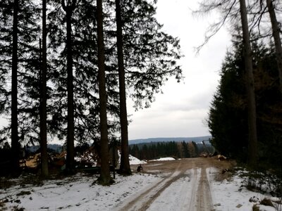 Foto des Albums: Rundwanderung bei Mehlmeisel Neugrün, Mähring, Hempelsberg
