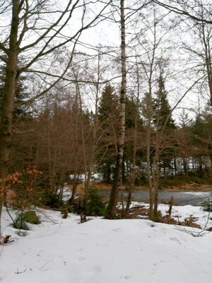 Foto des Albums: Rundwanderung bei Mehlmeisel Neugrün, Mähring, Hempelsberg