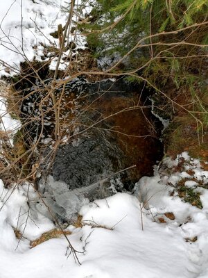 Foto des Albums: Rundwanderung bei Mehlmeisel Neugrün, Mähring, Hempelsberg