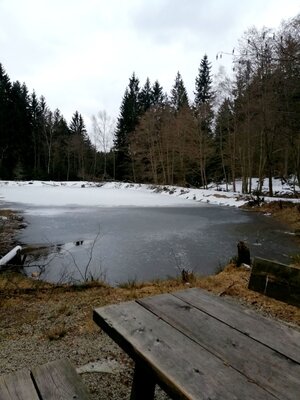 Foto des Albums: Rundwanderung bei Mehlmeisel Neugrün, Mähring, Hempelsberg